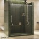 Enigma Sliding Shower Door