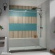 Enigma-X Sliding Shower Door
