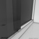 Essence Sliding Shower Door