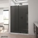 Mirage-X Sliding Shower Door